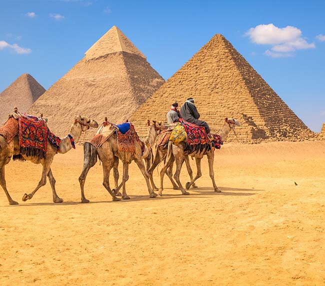 optmat-travel-agency-127